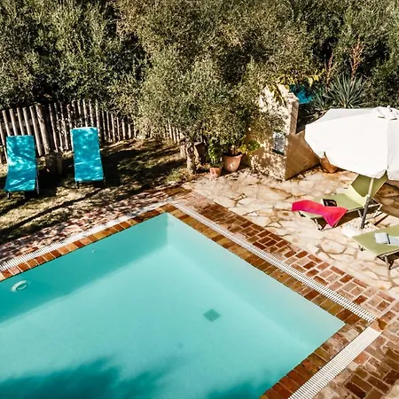 Mastrogiannis Dafne *